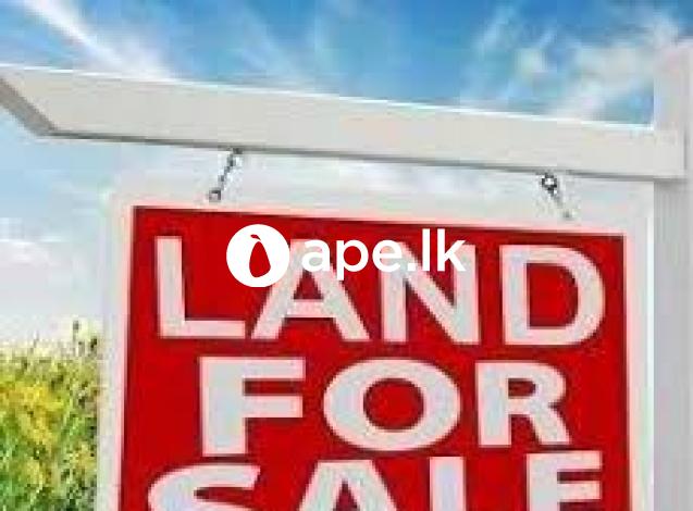 Land for sale 11.7 Perches in Ja-ela